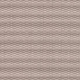 876400 Alpaca